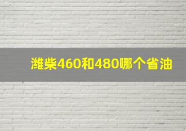 潍柴460和480哪个省油