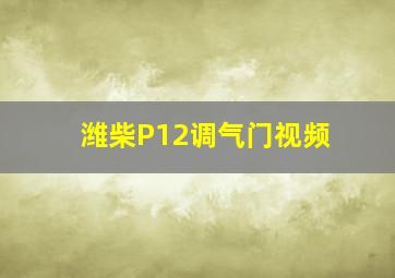 潍柴P12调气门视频