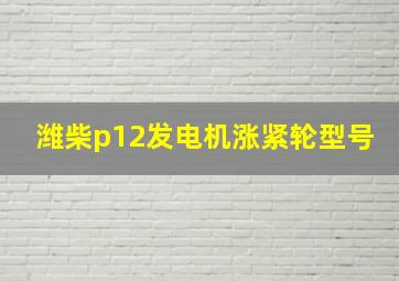 潍柴p12发电机涨紧轮型号