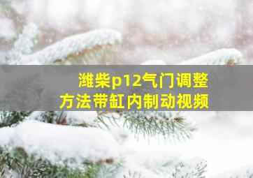 潍柴p12气门调整方法带缸内制动视频