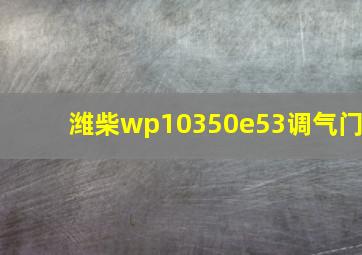 潍柴wp10350e53调气门