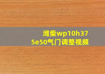 潍柴wp10h375e50气门调整视频