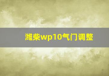 潍柴wp10气门调整