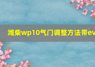 潍柴wp10气门调整方法带evb