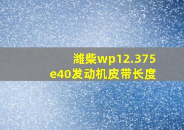 潍柴wp12.375e40发动机皮带长度