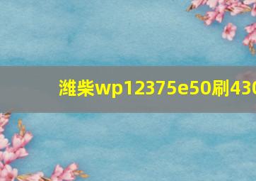 潍柴wp12375e50刷430