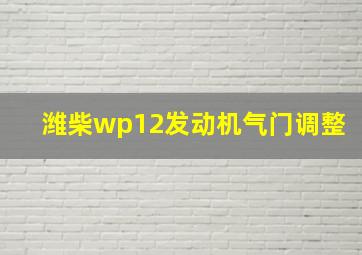 潍柴wp12发动机气门调整