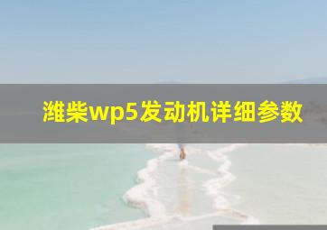 潍柴wp5发动机详细参数