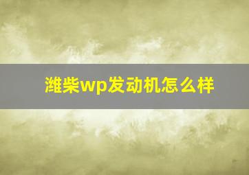 潍柴wp发动机怎么样