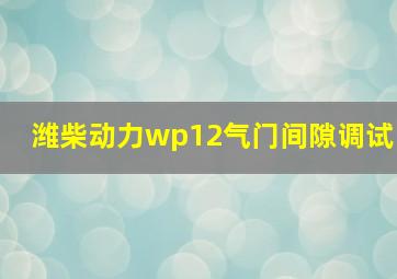 潍柴动力wp12气门间隙调试