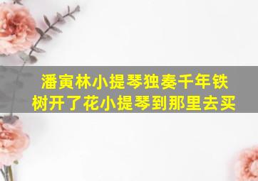 潘寅林小提琴独奏千年铁树开了花小提琴到那里去买