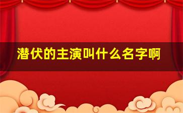 潜伏的主演叫什么名字啊