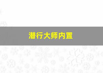 潜行大师内置