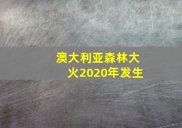 澳大利亚森林大火2020年发生