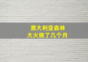 澳大利亚森林大火烧了几个月