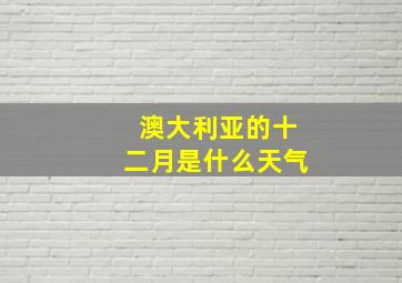 澳大利亚的十二月是什么天气