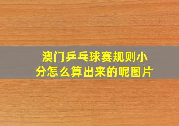 澳门乒乓球赛规则小分怎么算出来的呢图片