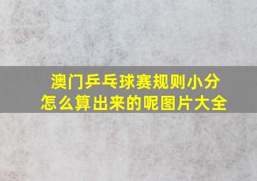 澳门乒乓球赛规则小分怎么算出来的呢图片大全