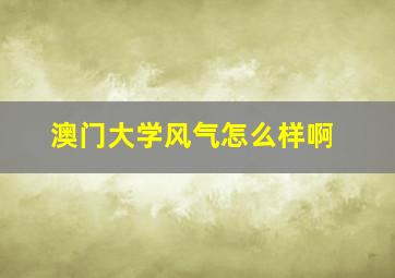 澳门大学风气怎么样啊