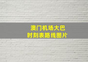 澳门机场大巴时刻表路线图片