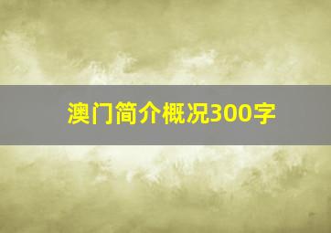 澳门简介概况300字