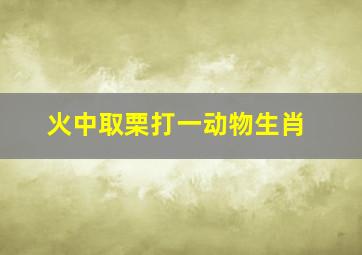 火中取栗打一动物生肖