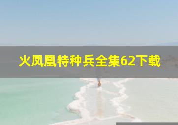 火凤凰特种兵全集62下载