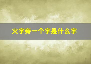 火字旁一个字是什么字