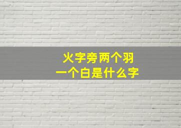 火字旁两个羽一个白是什么字