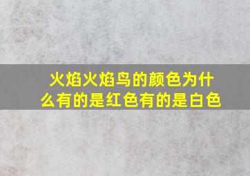 火焰火焰鸟的颜色为什么有的是红色有的是白色