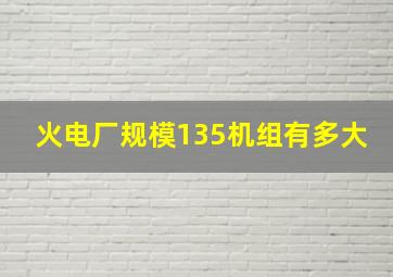 火电厂规模135机组有多大