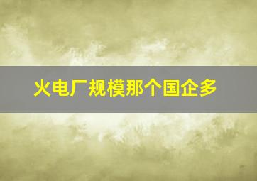 火电厂规模那个国企多