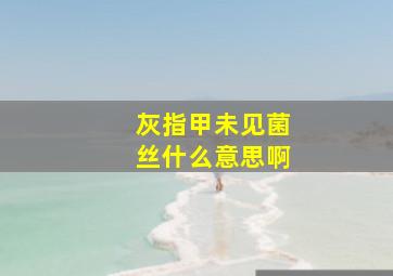 灰指甲未见菌丝什么意思啊