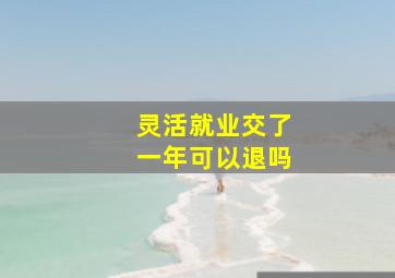 灵活就业交了一年可以退吗