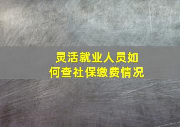 灵活就业人员如何查社保缴费情况