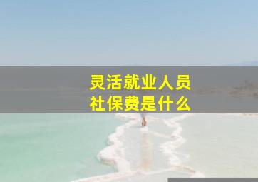 灵活就业人员社保费是什么