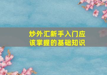 炒外汇新手入门应该掌握的基础知识