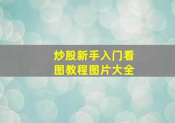 炒股新手入门看图教程图片大全