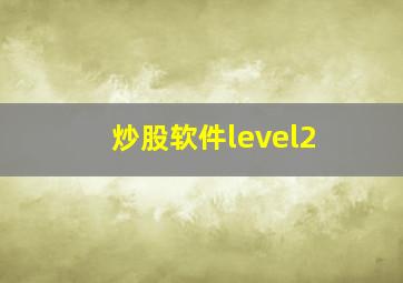 炒股软件level2