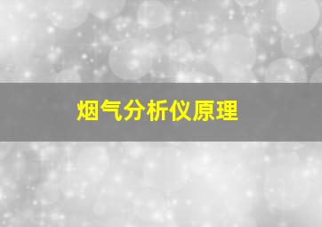 烟气分析仪原理