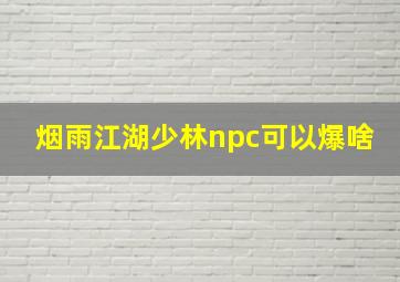 烟雨江湖少林npc可以爆啥