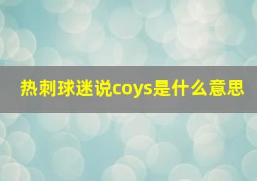 热刺球迷说coys是什么意思