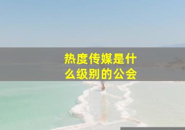 热度传媒是什么级别的公会