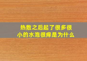 热敷之后起了很多很小的水泡很痒是为什么