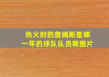 热火时的詹姆斯是哪一年的球队队员呢图片