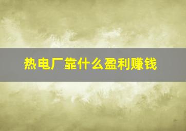 热电厂靠什么盈利赚钱