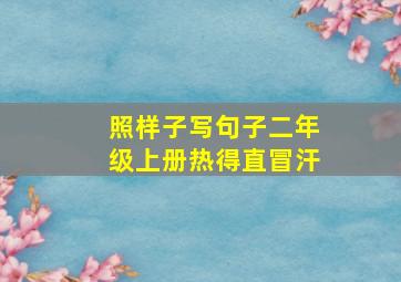 照样子写句子二年级上册热得直冒汗