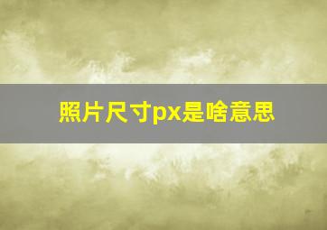 照片尺寸px是啥意思