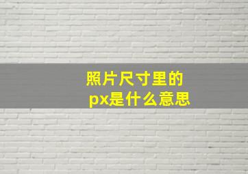 照片尺寸里的px是什么意思