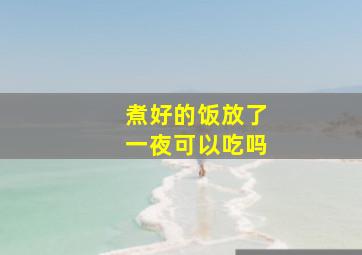 煮好的饭放了一夜可以吃吗